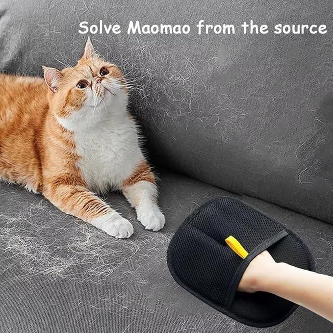 Pet Accessories